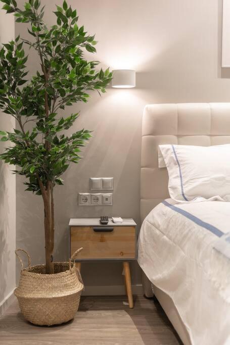 Apartment A11 Pristine & Comfy Near Plaka & Parthenon Athens